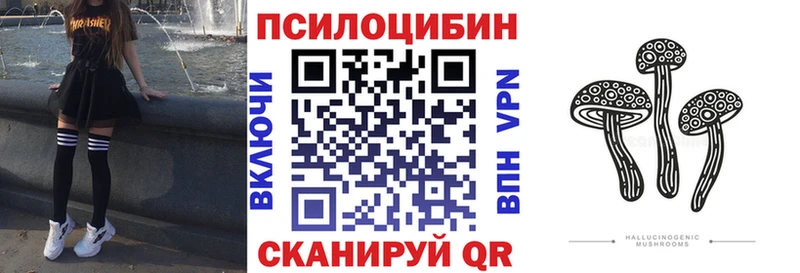 Псилоцибиновые грибы GOLDEN TEACHER  Калтан 